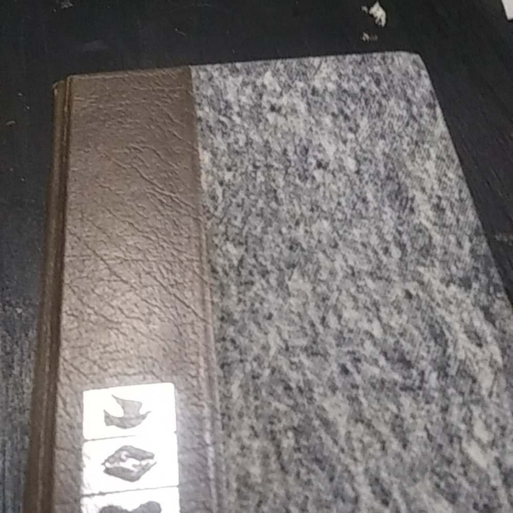 The illustrated Bible